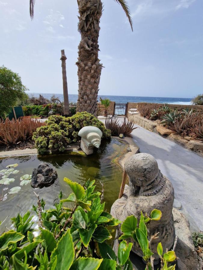 Little Paradise In El Medano Гранадилла-де-Абона Экстерьер фото